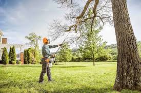 Best Tree Risk Assessment  in Burnham, IL